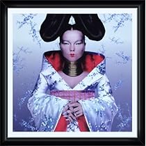 Björk ビョーク ポートレートポスター Bjork ビョーク ポスター - メルカリ